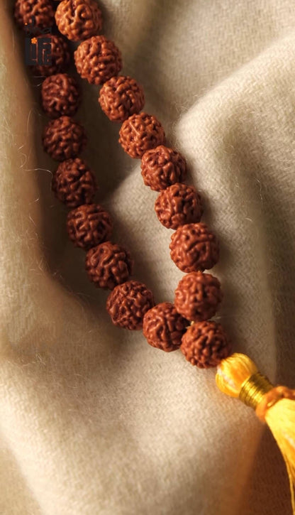 Isha Rudraksha Mala, 5 Face Rudraksha Beads